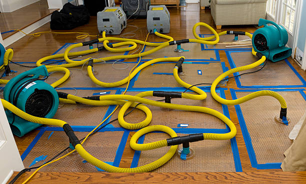 Professional Basement Flood Cleanup technician working in Livermore, ME
